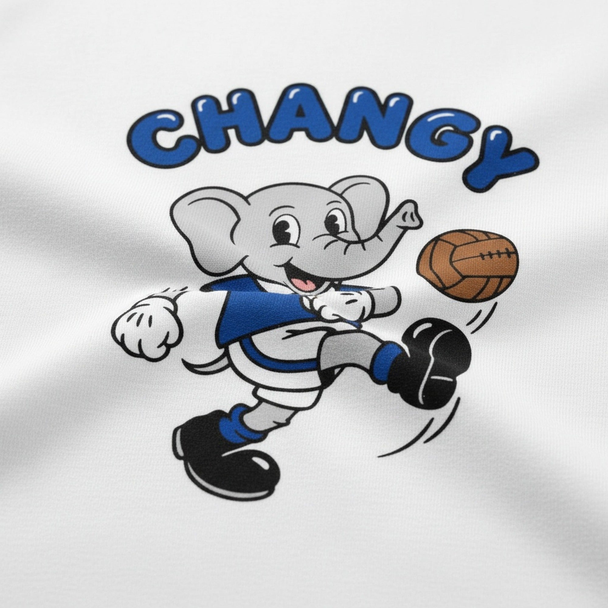 Print close-up on premium cotton. Changy Everton T-Shirt. Forever Everton.
