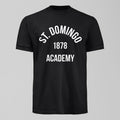 St Domingo Academy T-Shirt. An Everton fan design by Forever Everton.
